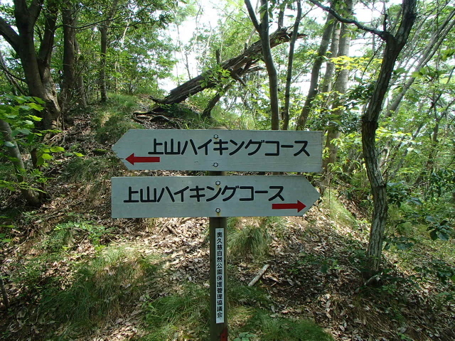 3.3上山ハイキングコース.JPG